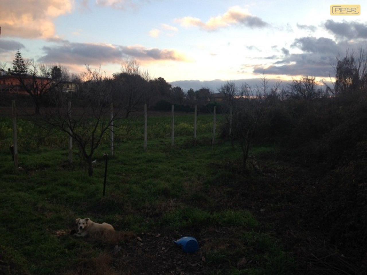 Terreno Agricolo in vendita a Pozzuoli, Monterusciello
