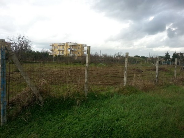 immagine annuncio 3 di 6