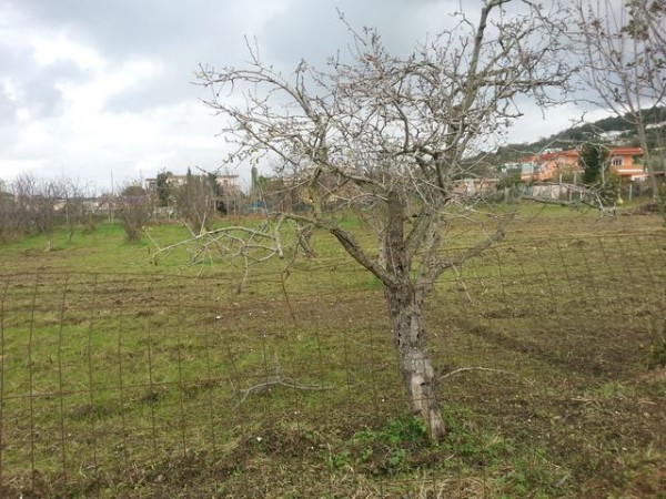 immagine annuncio 5 di 6