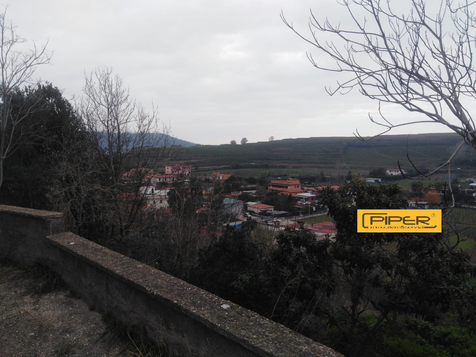 immagine annuncio 3 di 6