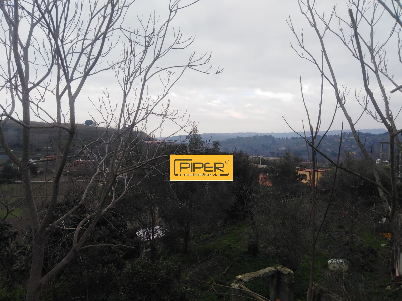 immagine annuncio 4 di 6