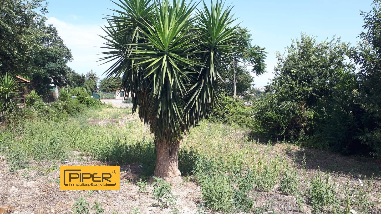 Terreno Agricolo in vendita a Pozzuoli, Monterusciello