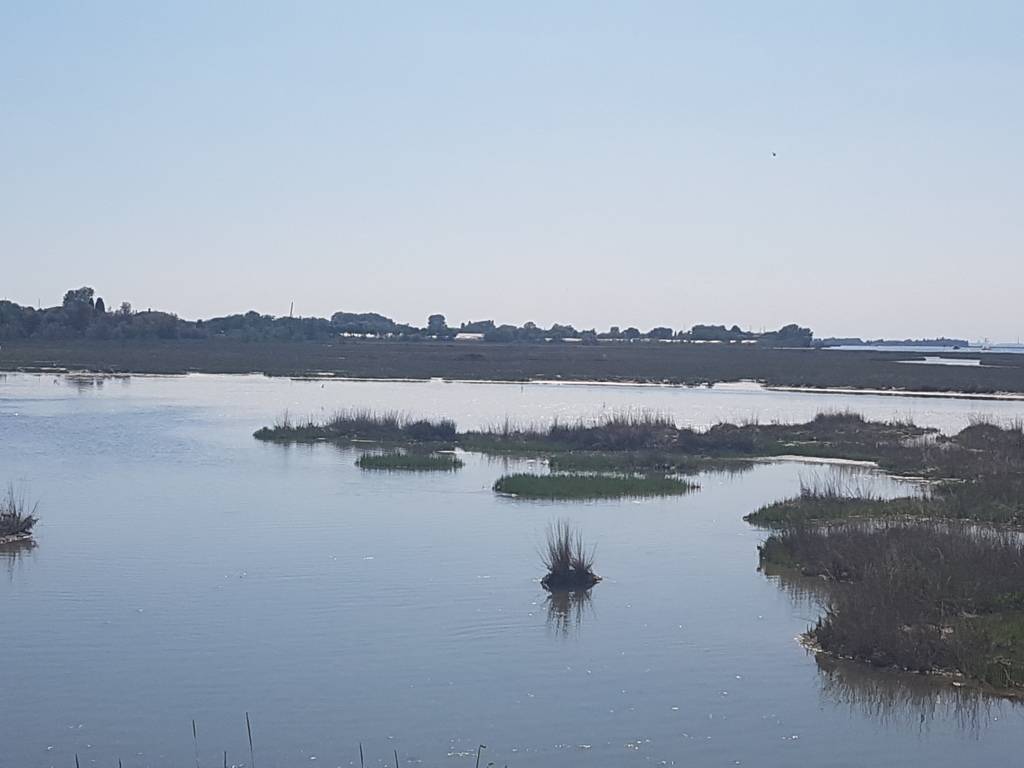 Rustico in vendita a Cavallino-Treporti, Cavallino Treporti