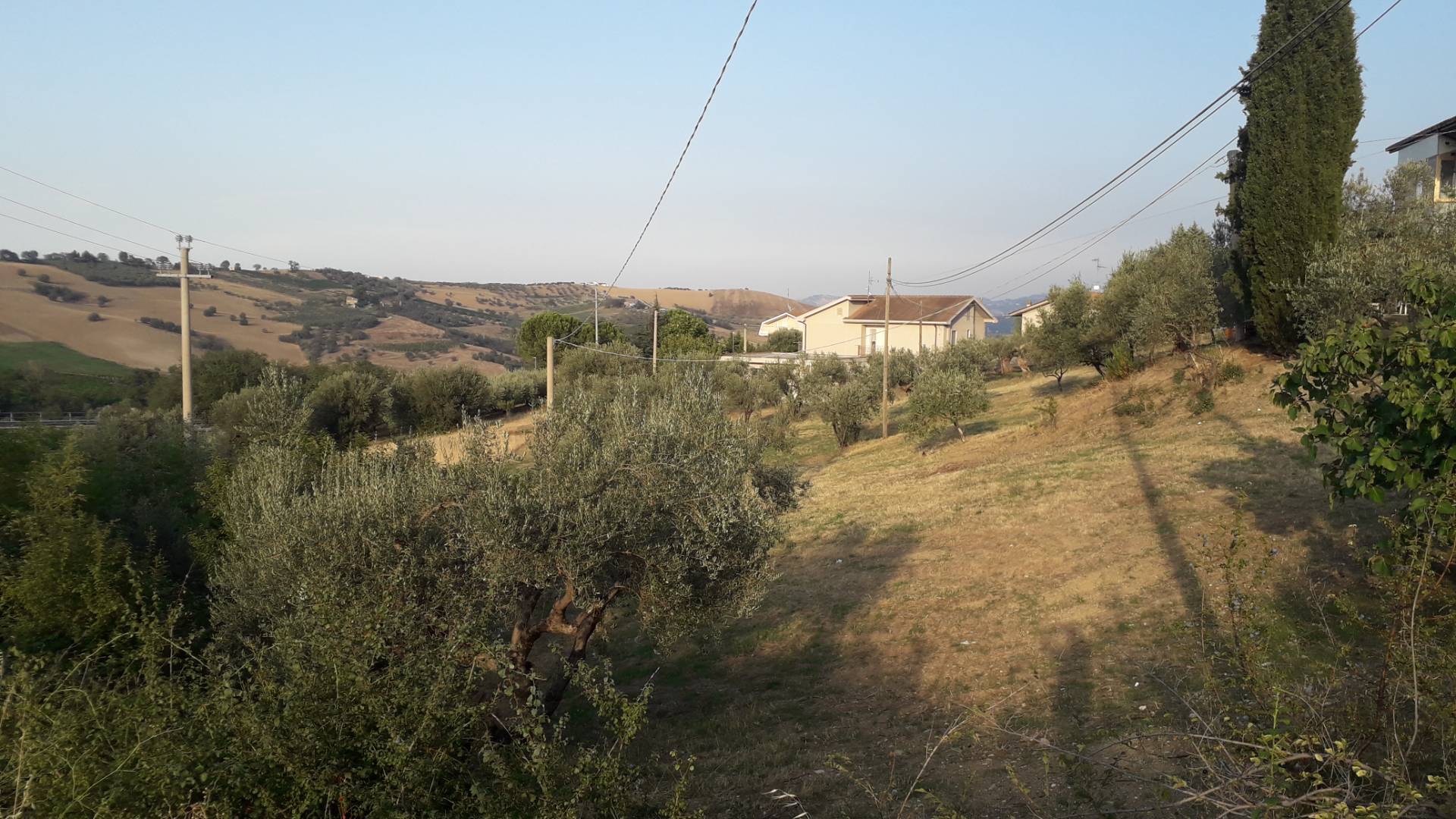 Terreno in vendita a Alanno