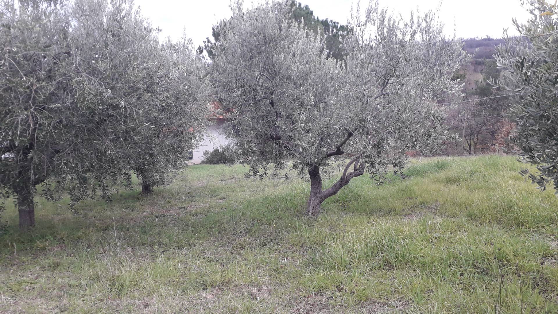 Casa singola in vendita a Roccamontepiano