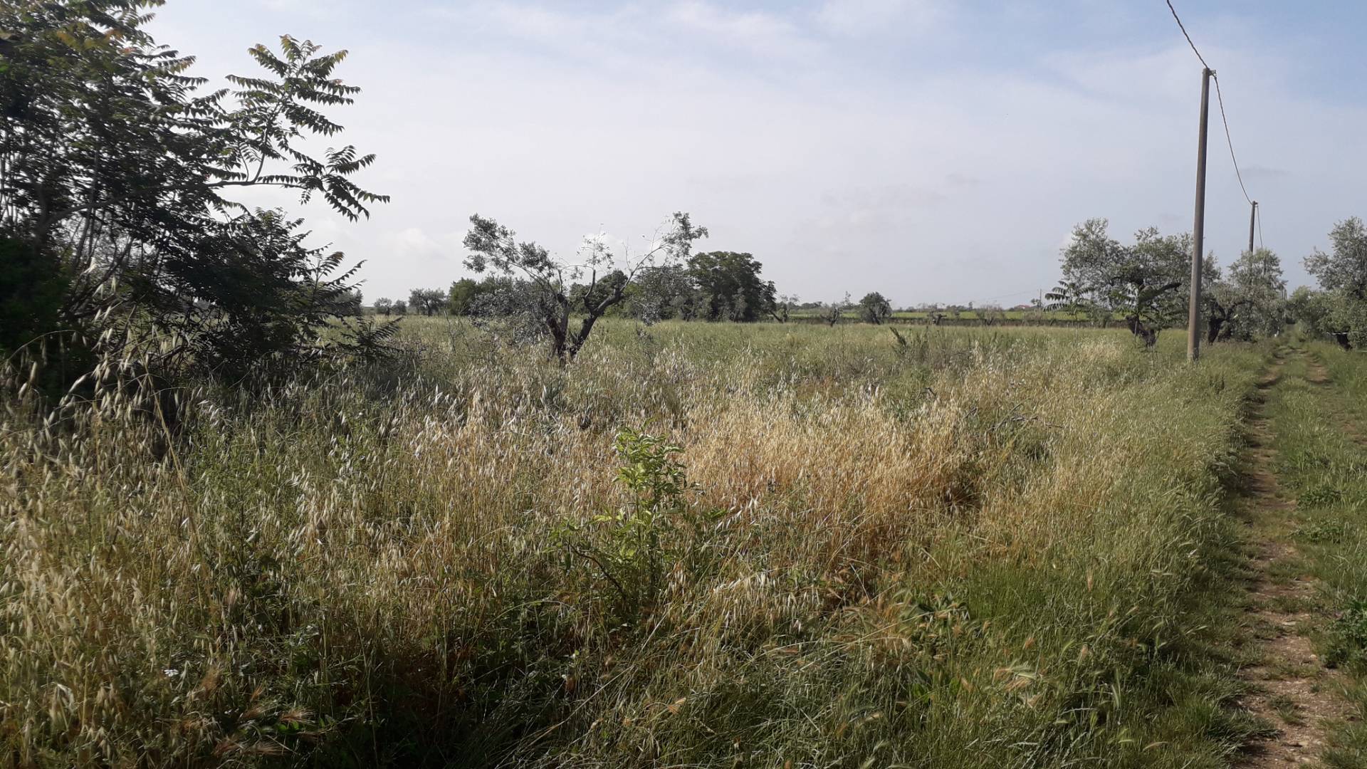 Casa singola in vendita a Crecchio