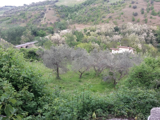 immagine annuncio 2 di 4