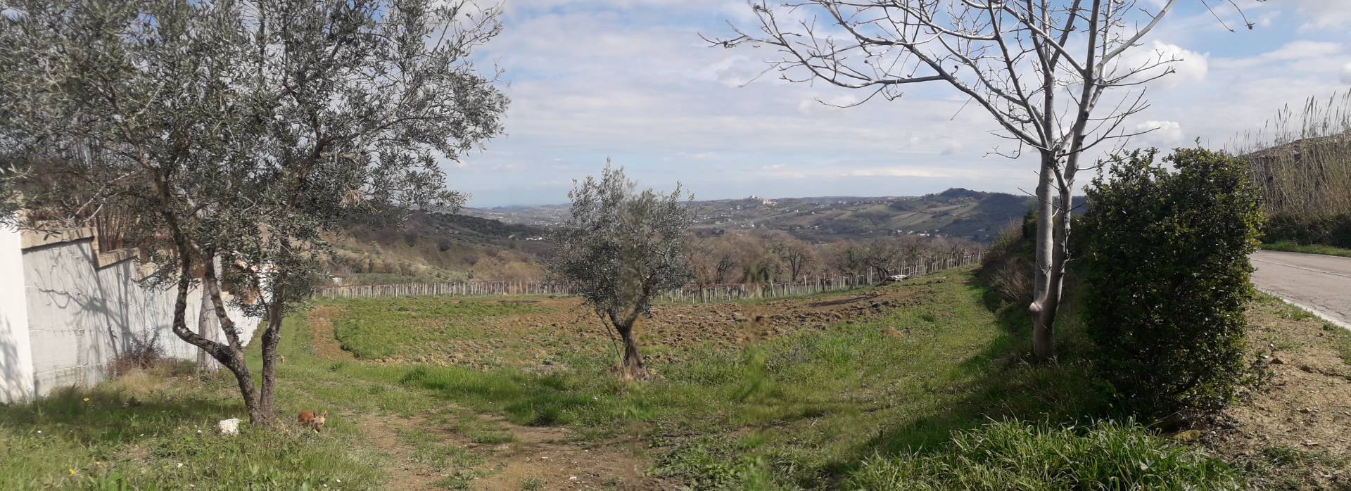 Terreno agricolo ed edificabile in vendita a Bucchianico