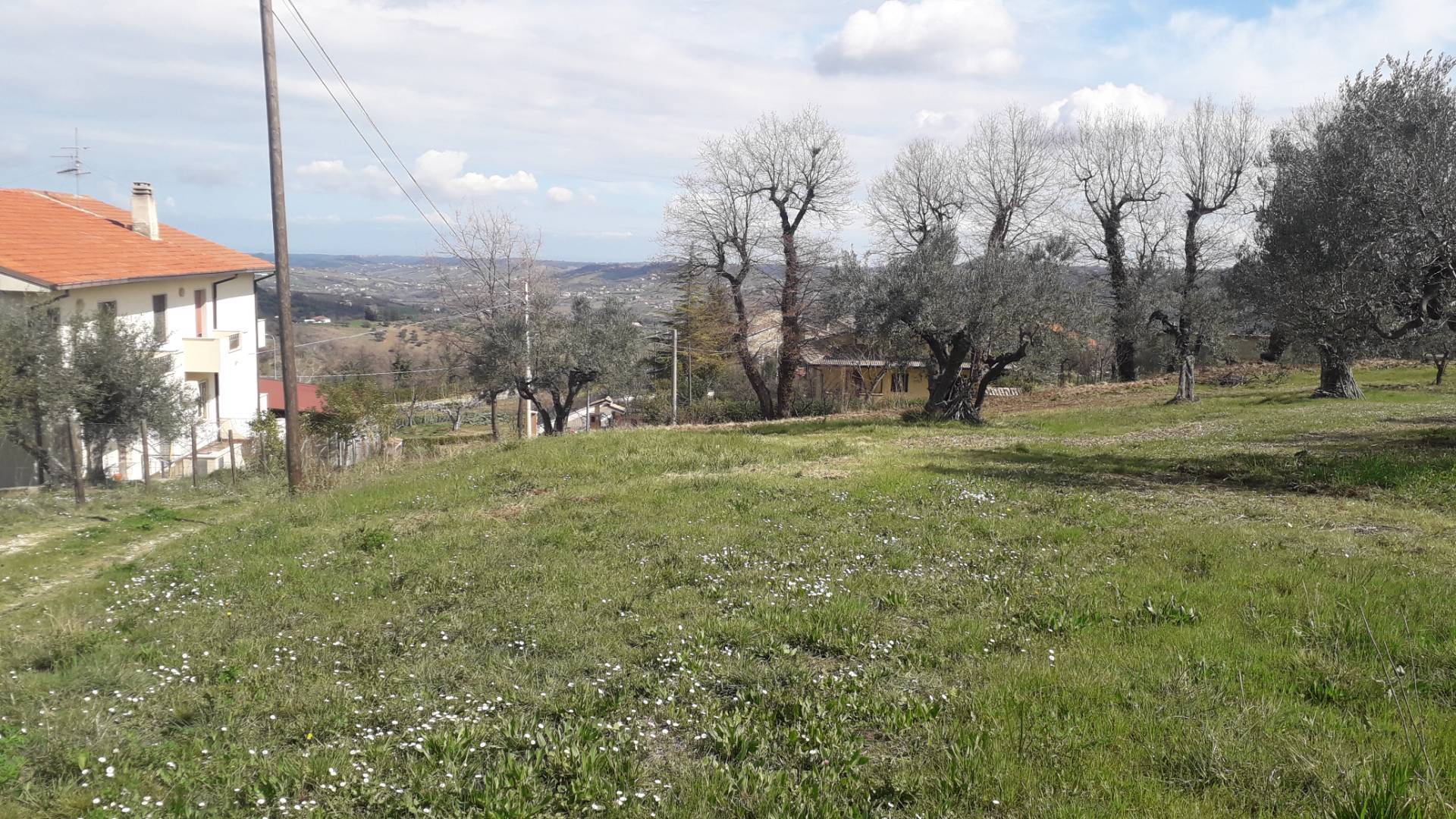 Terreno agricolo ed edificabile in vendita a Bucchianico