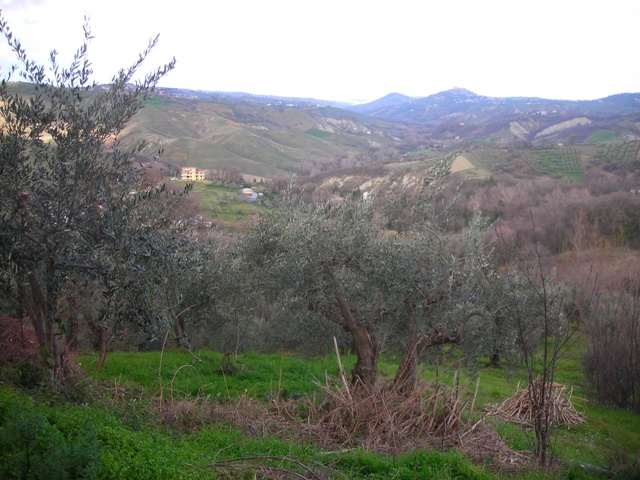Porzione di casa singola in vendita a Roccamontepiano, Molino