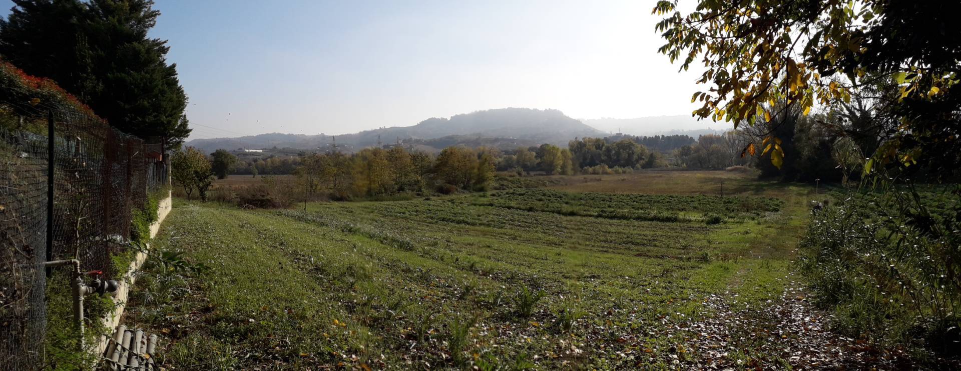 Terreno Agricolo in vendita a Cepagatti, Buccieri