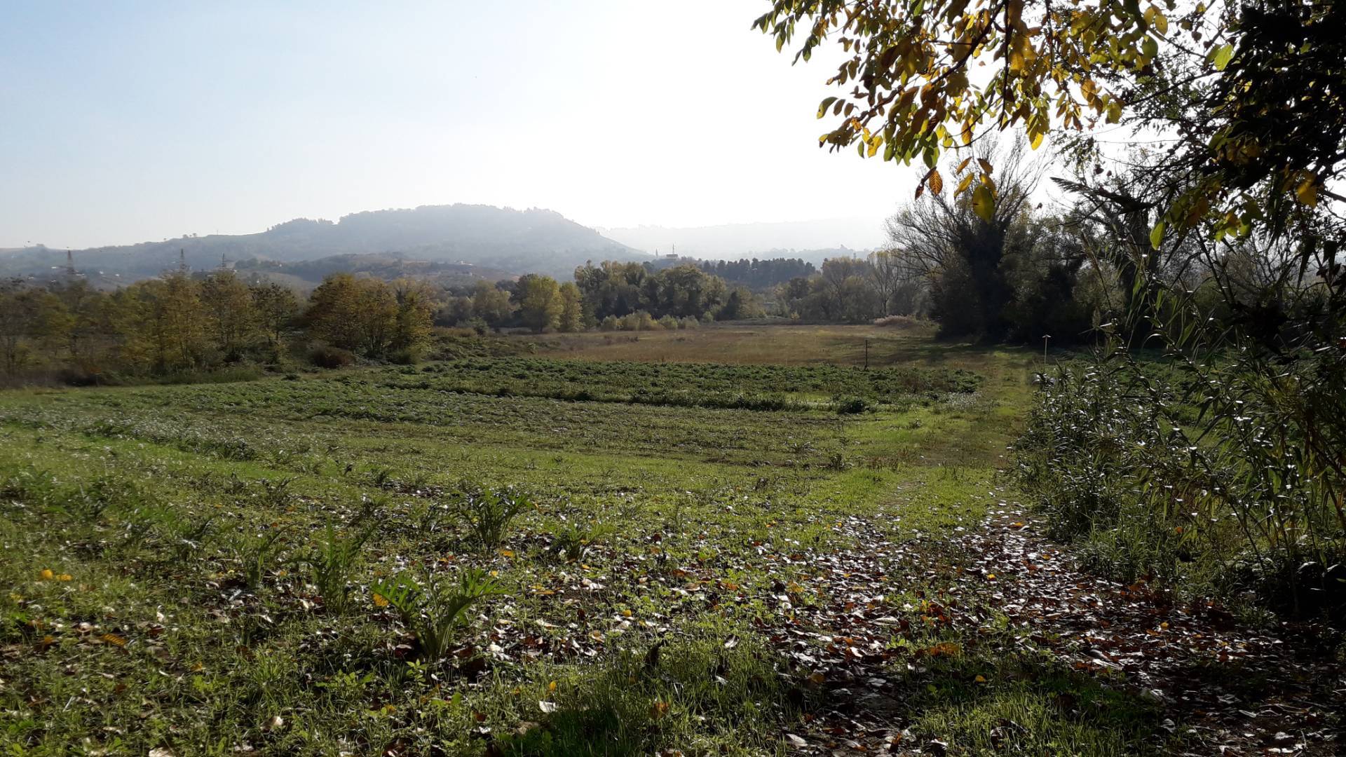 Terreno Agricolo in vendita a Cepagatti, Buccieri