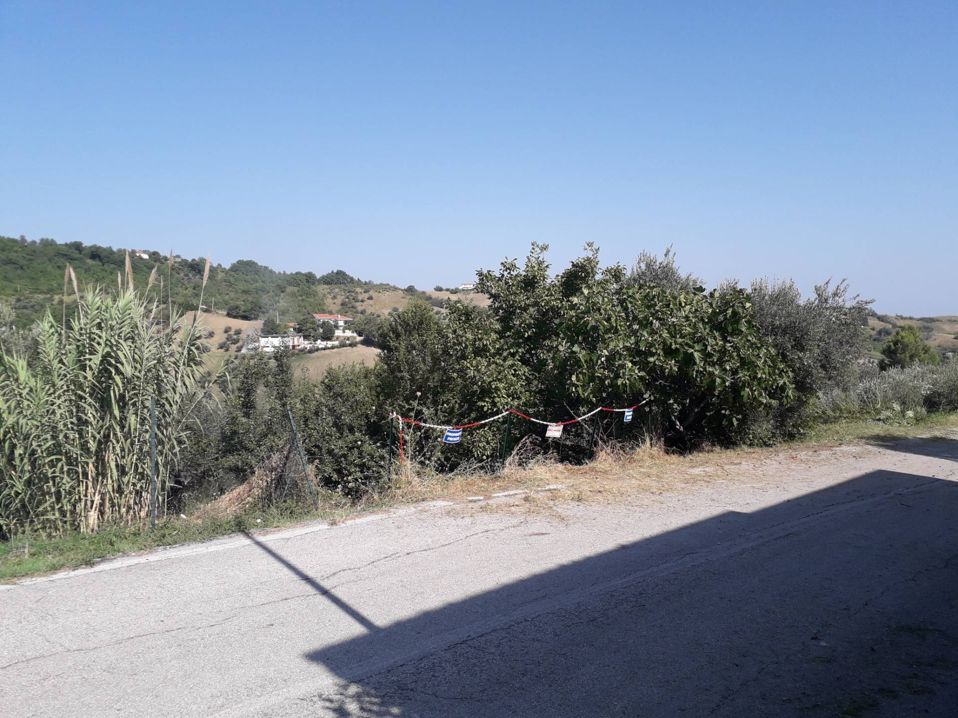 Terreno agricolo ed edificabile in vendita a Serramonacesca