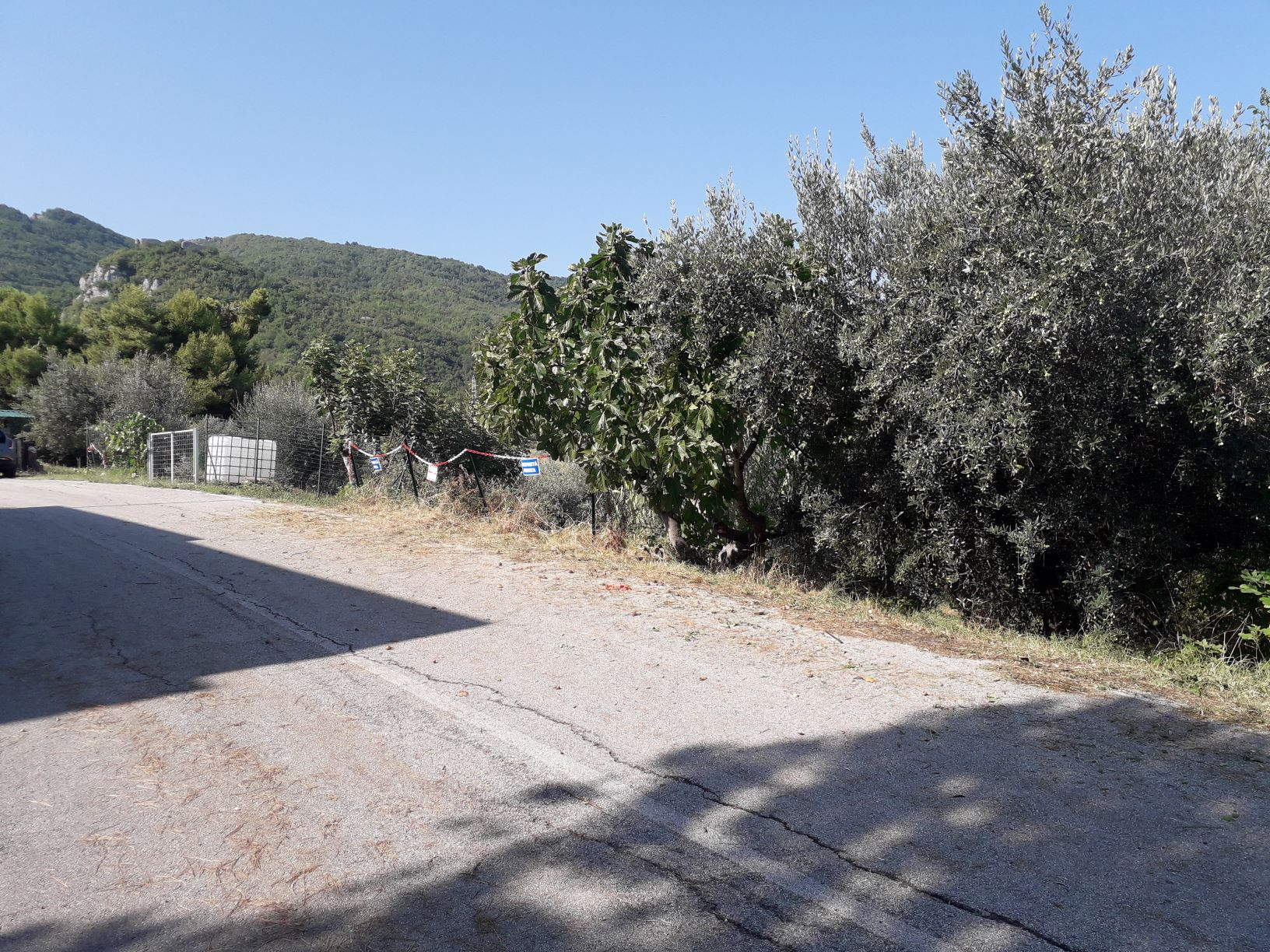 Terreno agricolo ed edificabile in vendita a Serramonacesca