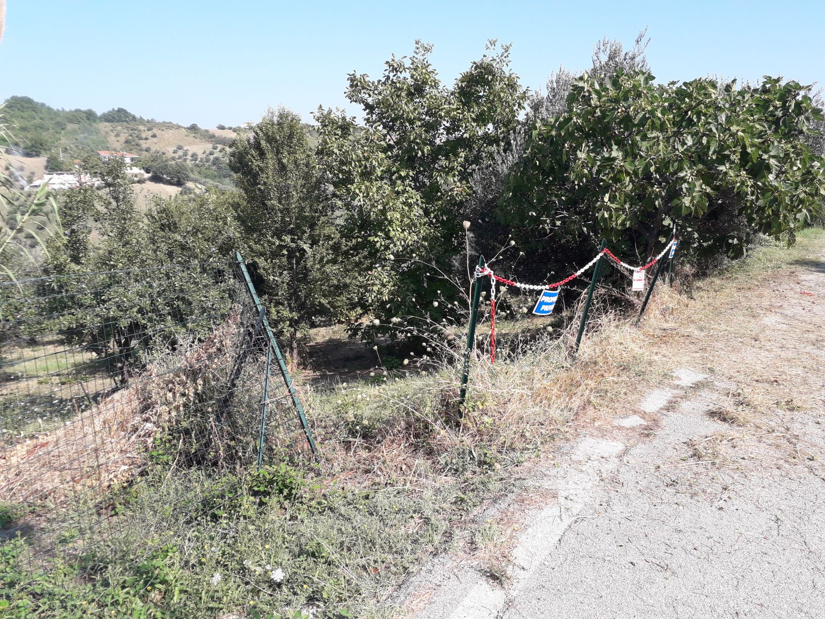 Terreno agricolo ed edificabile in vendita a Serramonacesca