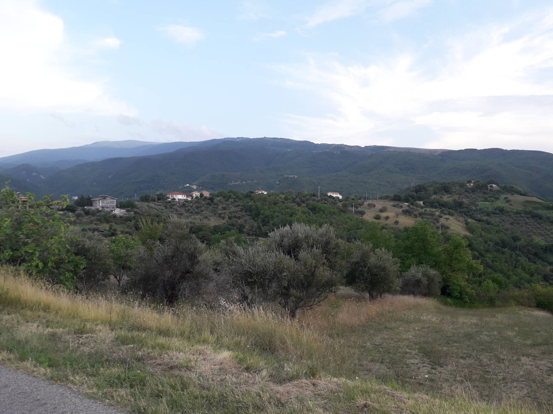 Terreno Agricolo in vendita a Serramonacesca
