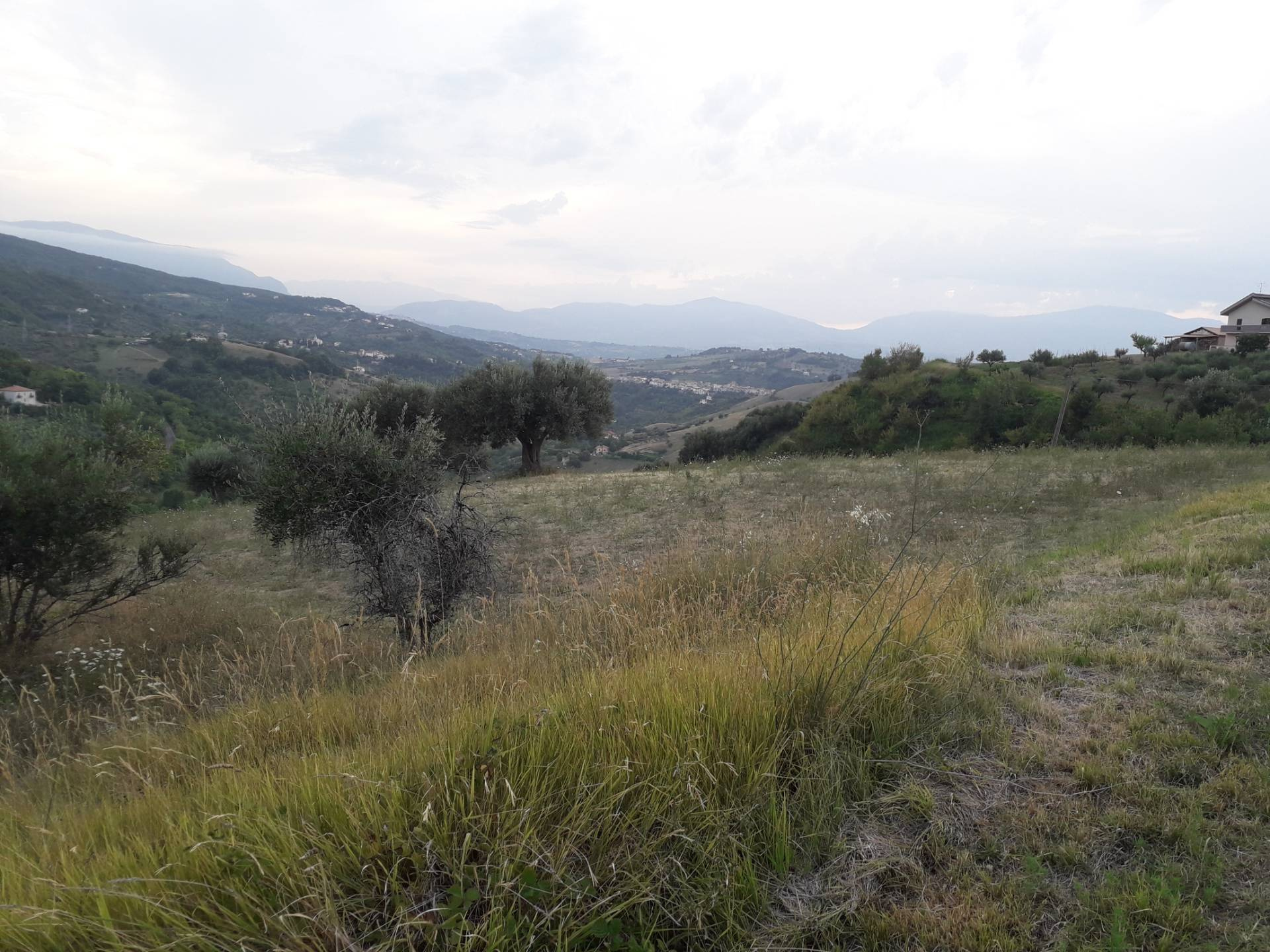 Terreno Agricolo in vendita a Serramonacesca