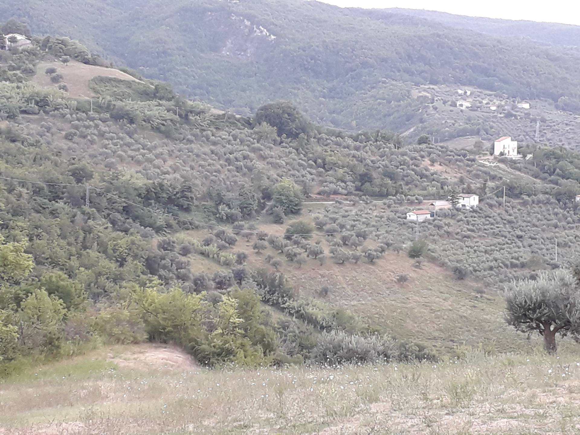 Terreno Agricolo in vendita a Serramonacesca