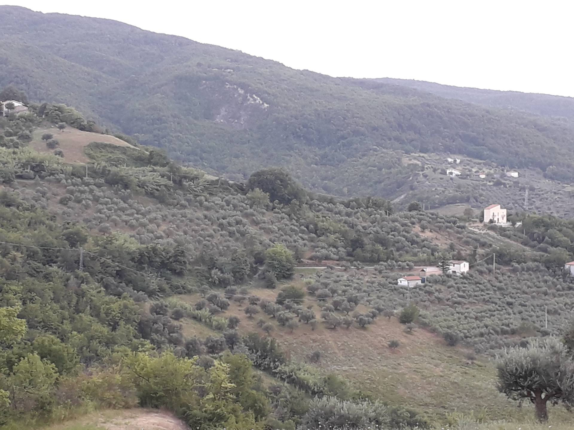 Terreno Agricolo in vendita a Serramonacesca