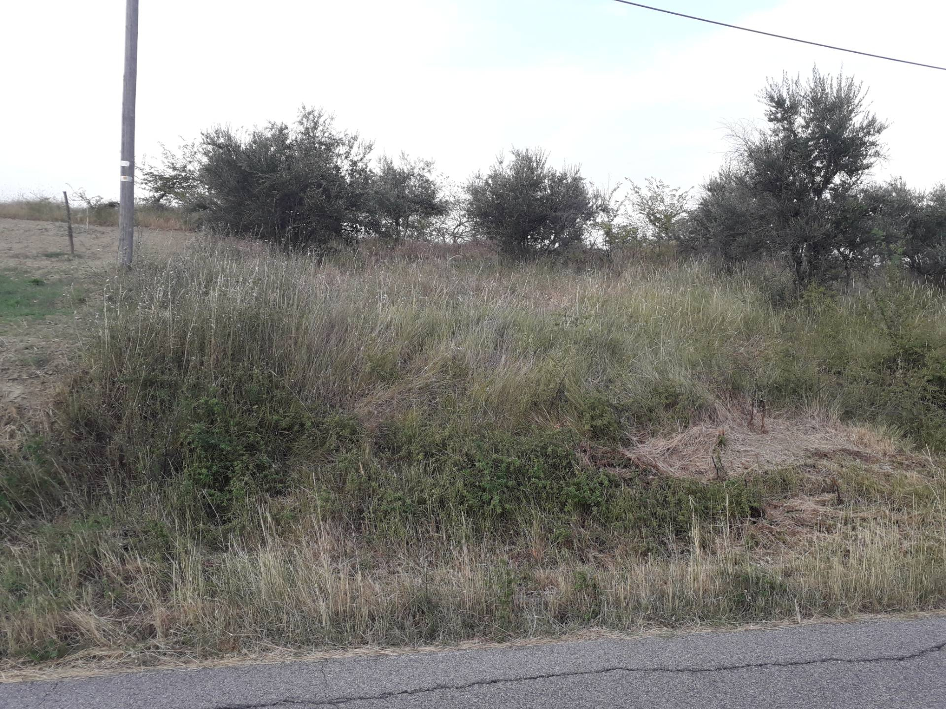Terreno Agricolo in vendita a Serramonacesca