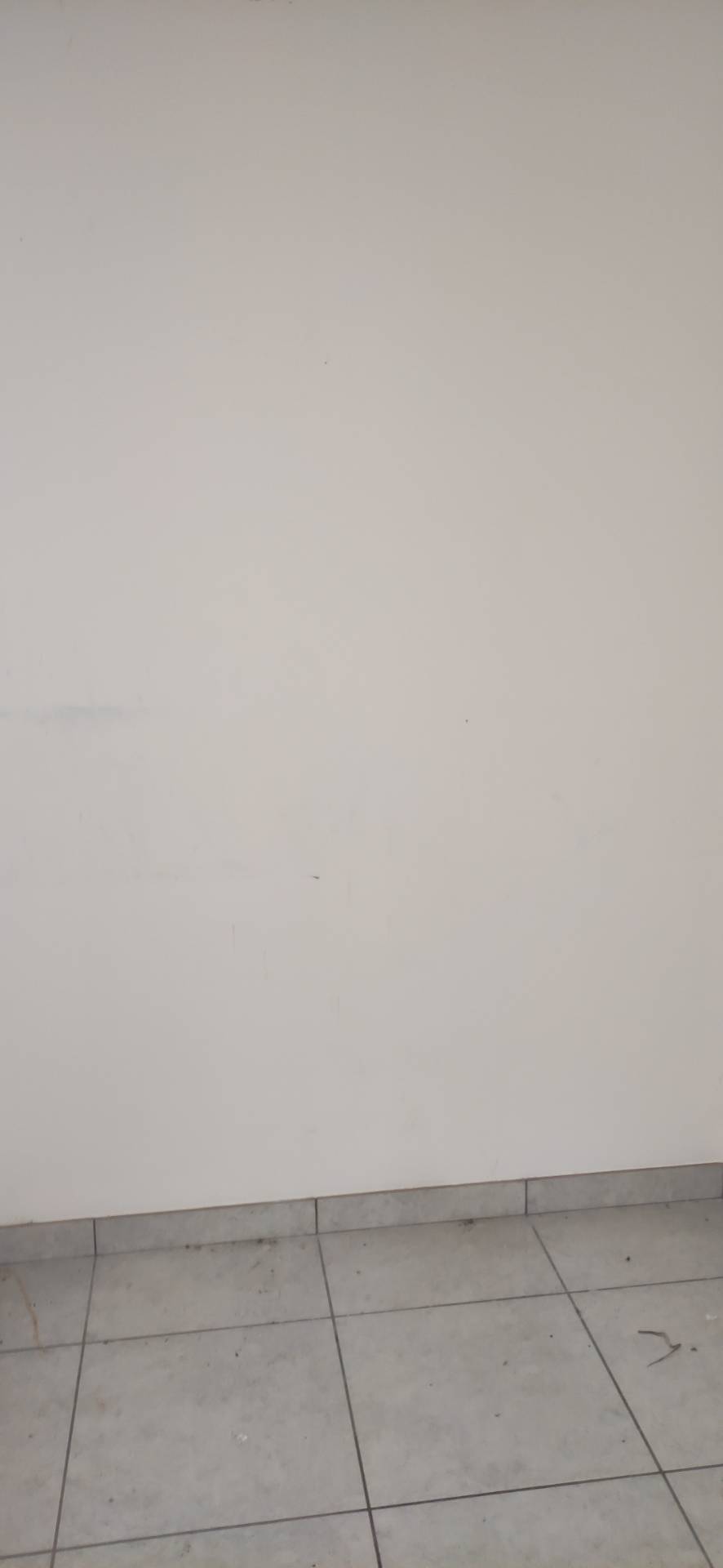 Locale commerciale in affitto a Alanno, Alanno Scalo