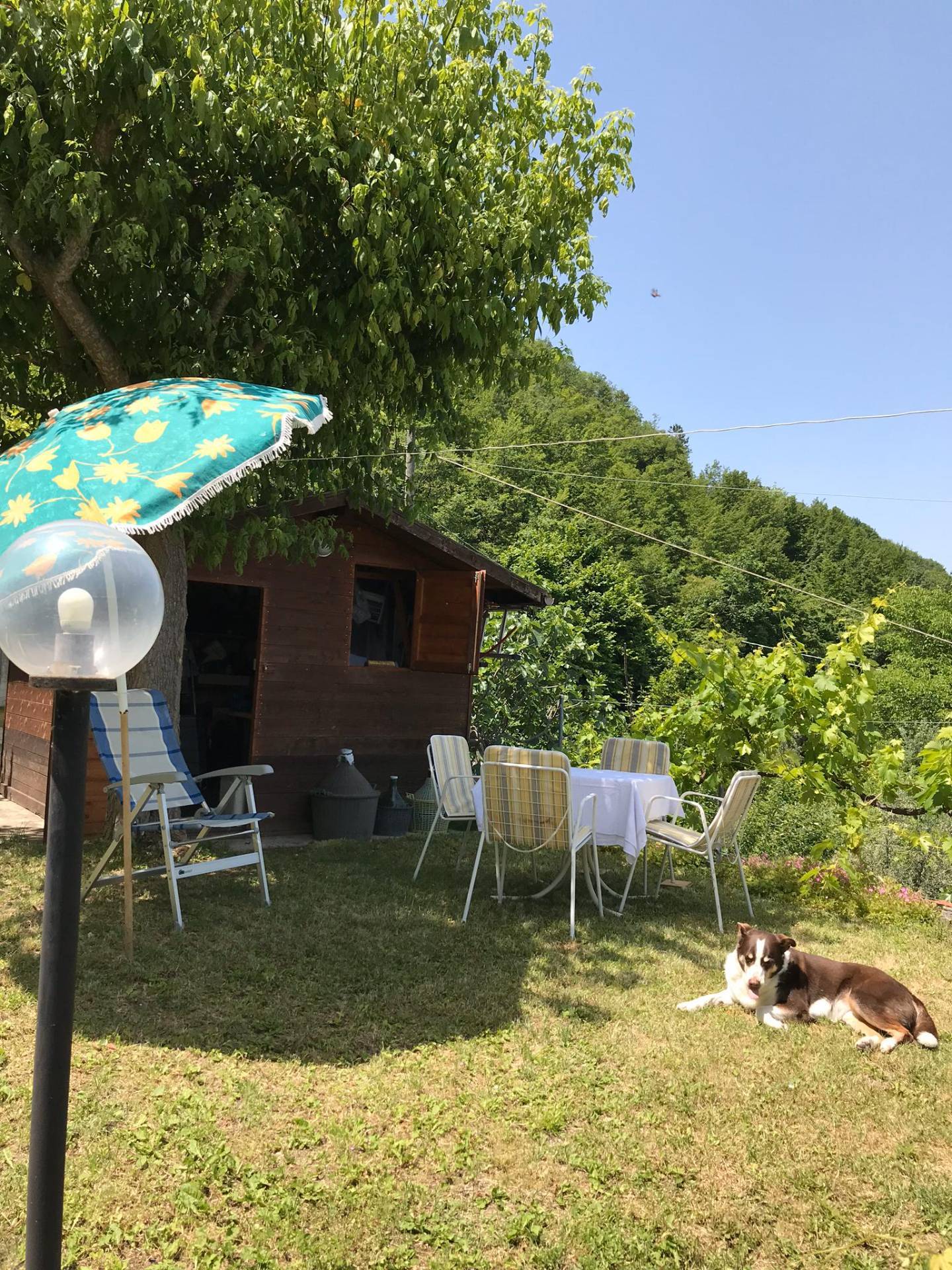 Porzione di casa singola in vendita a Serramonacesca