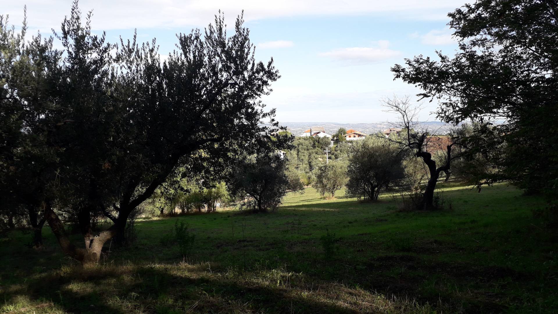 Terreno edificabile in vendita a Casalincontrada