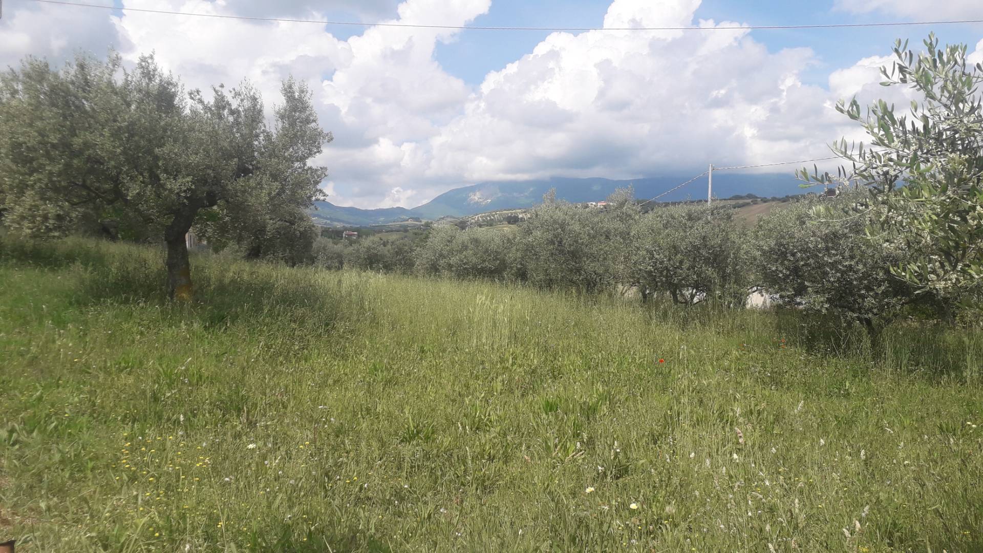 Terreno edificabile in vendita a Alanno