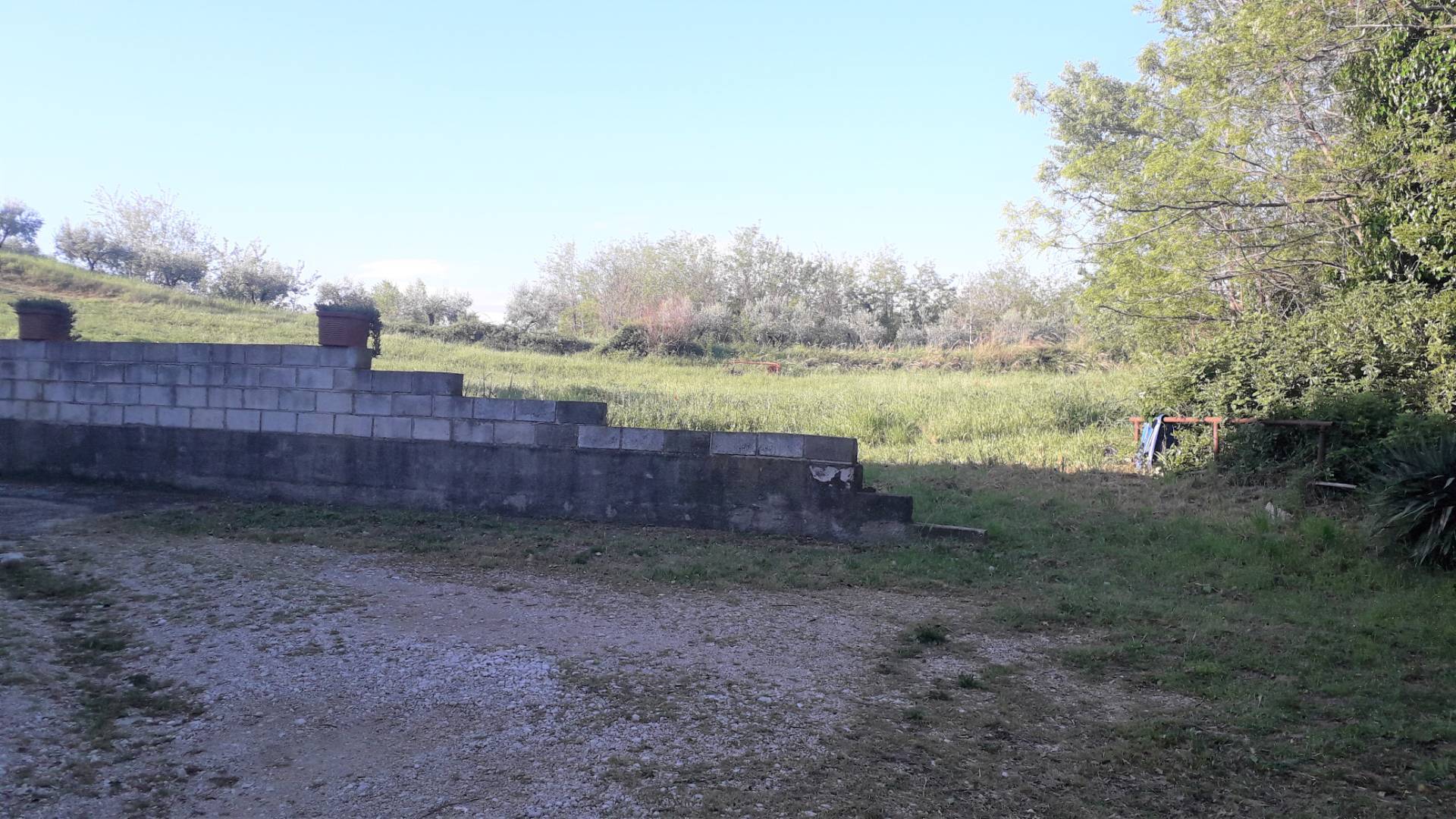 Terreno agricolo ed edificabile in vendita a Ripa Teatina