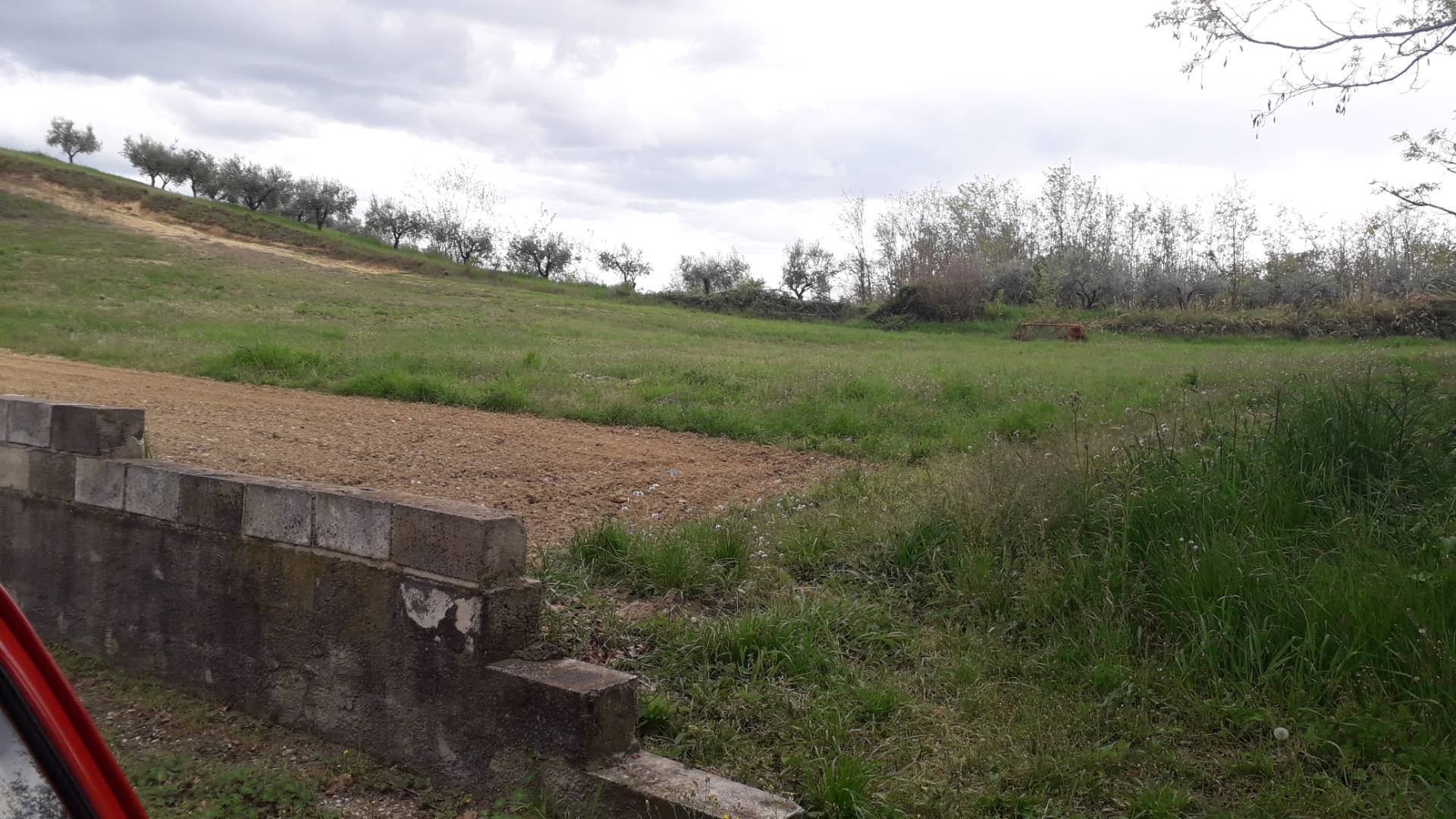 immagine annuncio 2 di 4