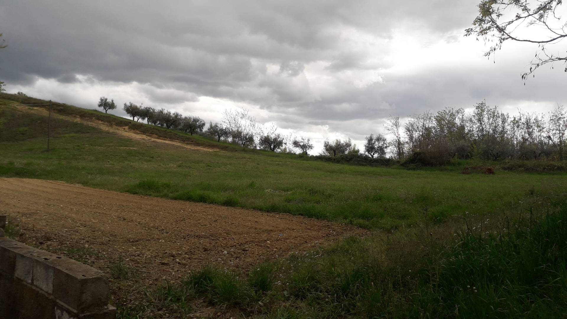 immagine annuncio 3 di 4