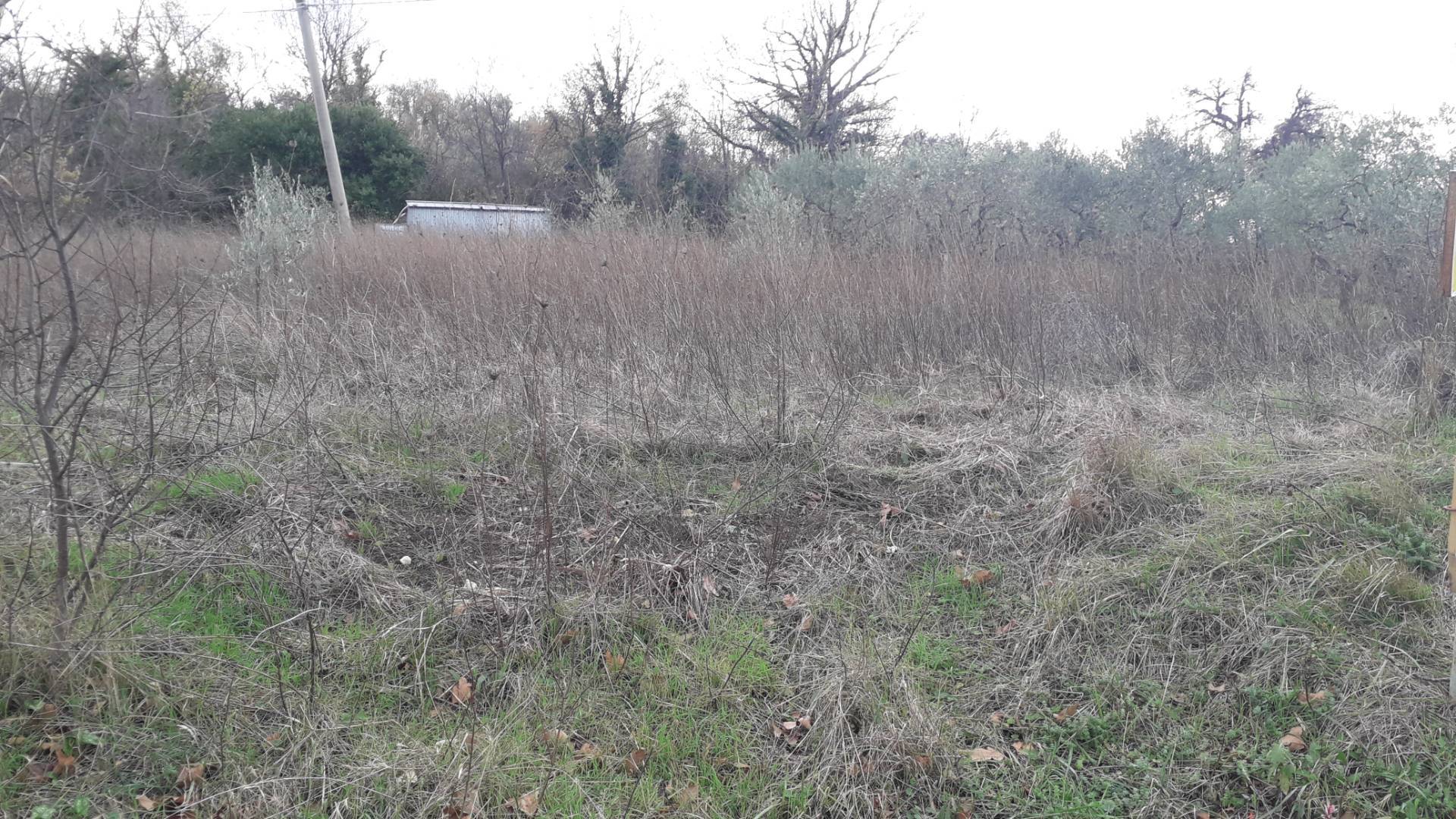 Terreno edificabile in vendita a Lettomanoppello