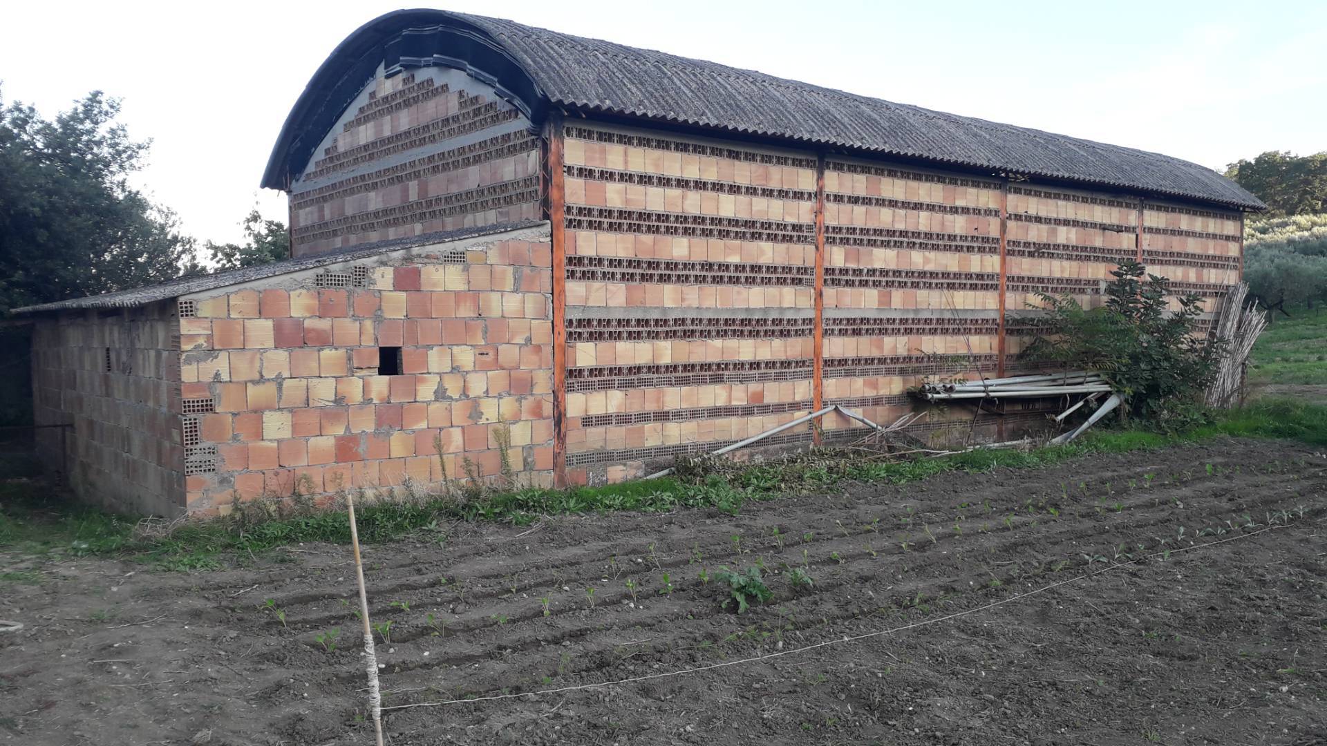 Rustico in vendita a Alanno