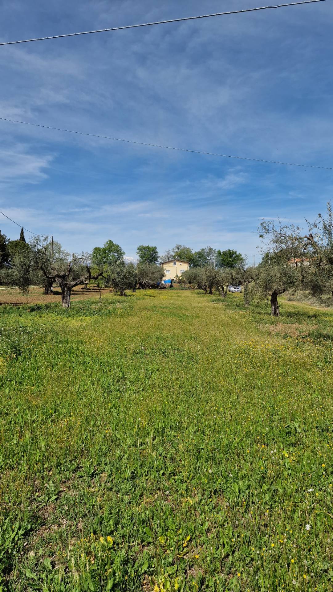 immagine annuncio 5 di 8