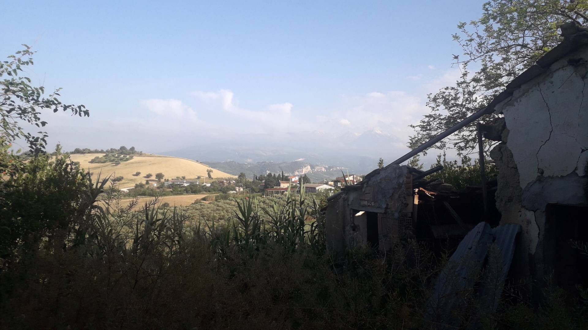 Terreno Agricolo in vendita a Alanno