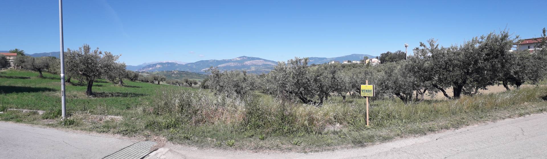 Terreno agricolo ed edificabile in vendita a Turrivalignani