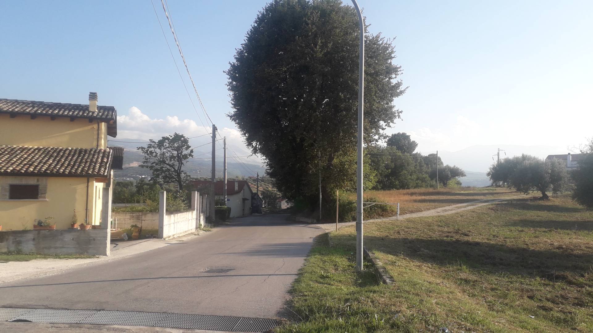 Terreno agricolo ed edificabile in vendita a Turrivalignani