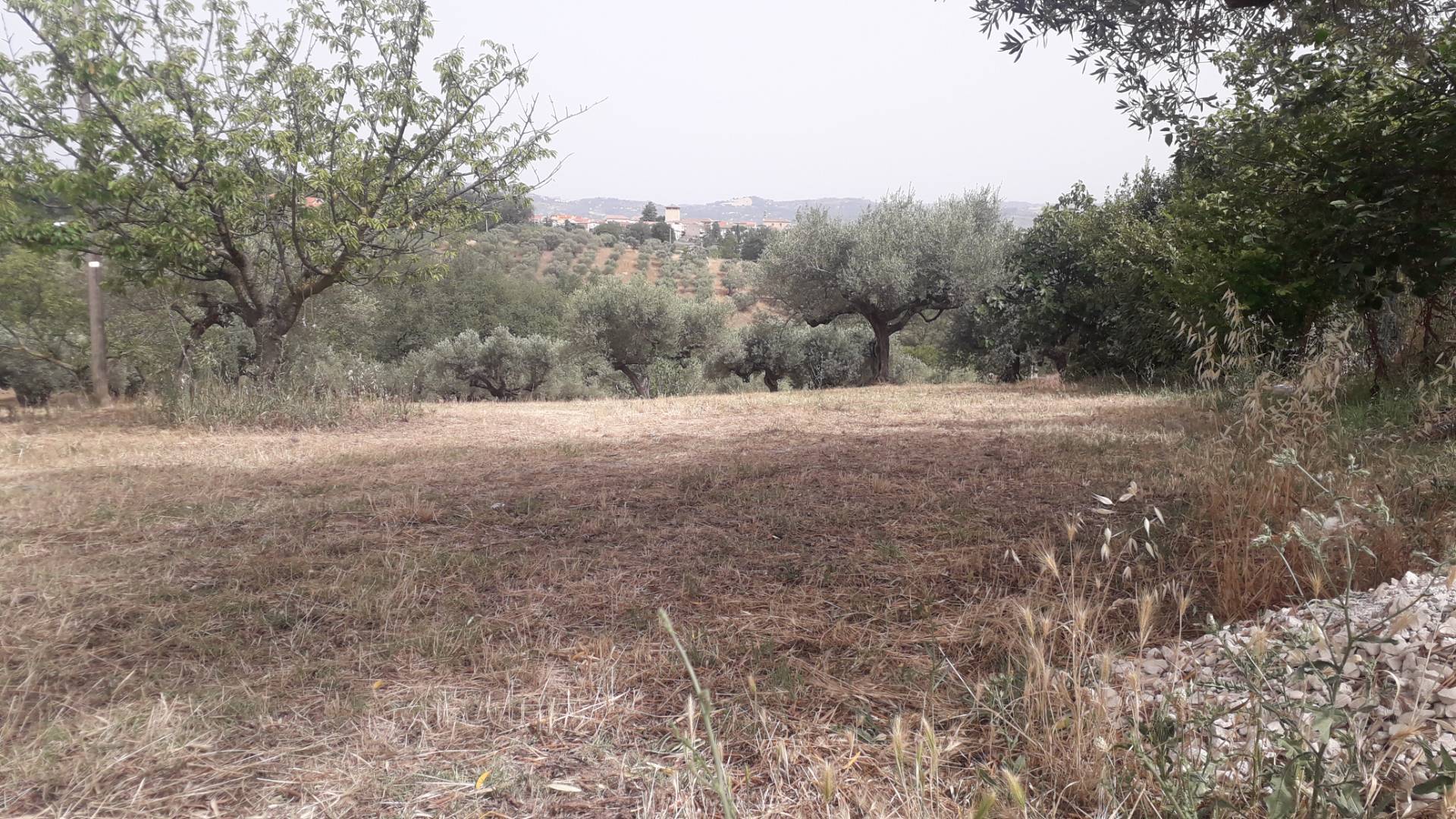 Terreno edificabile in vendita a Cepagatti