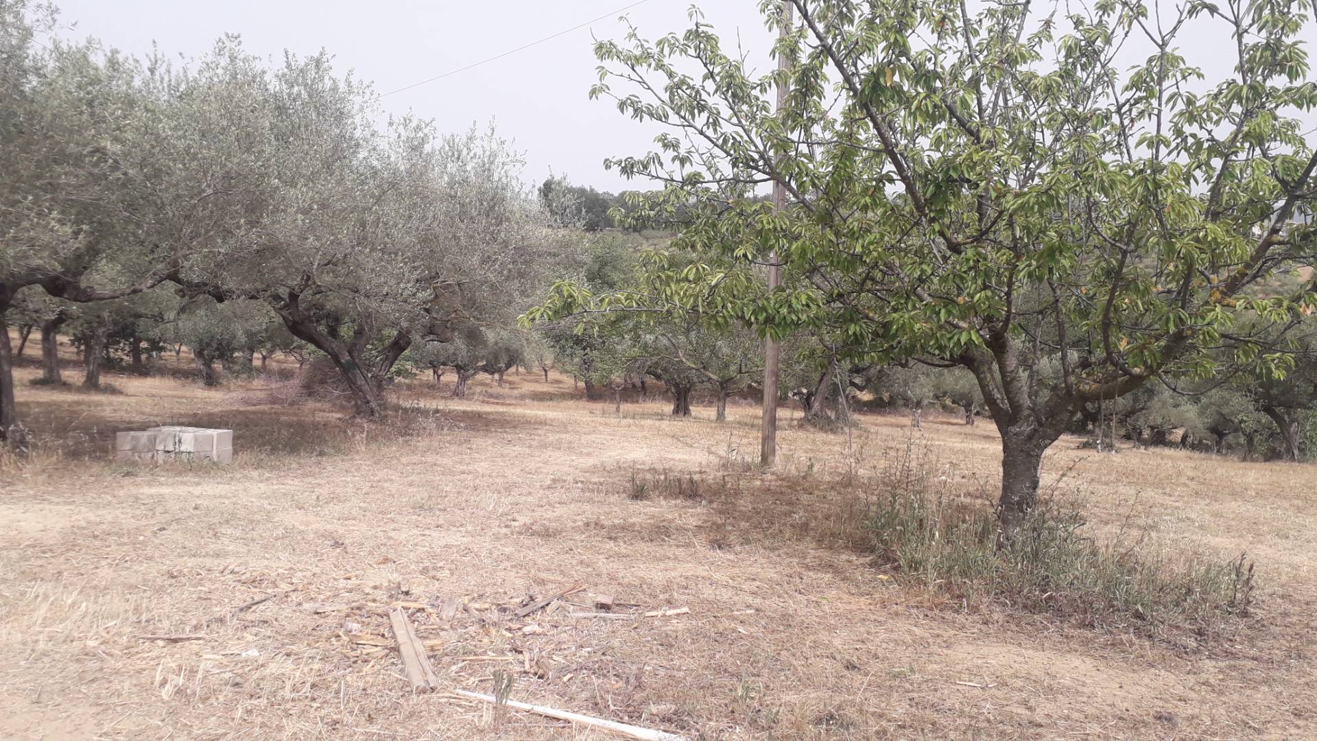 Terreno edificabile in vendita a Cepagatti