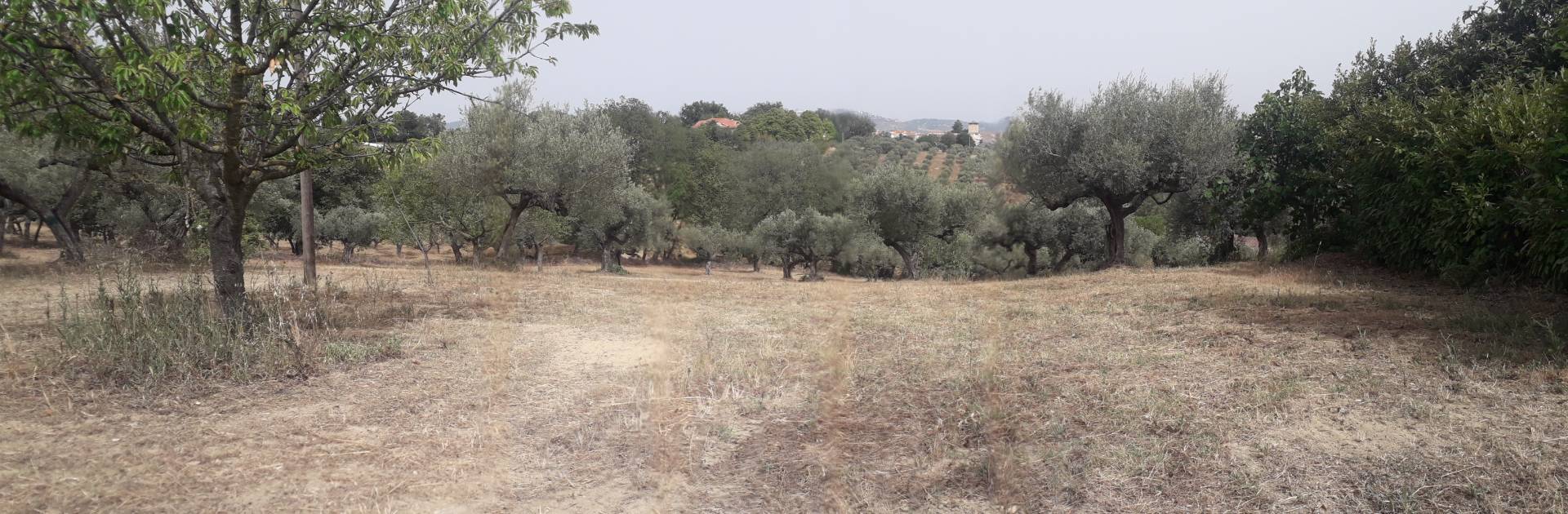 Terreno edificabile in vendita a Cepagatti