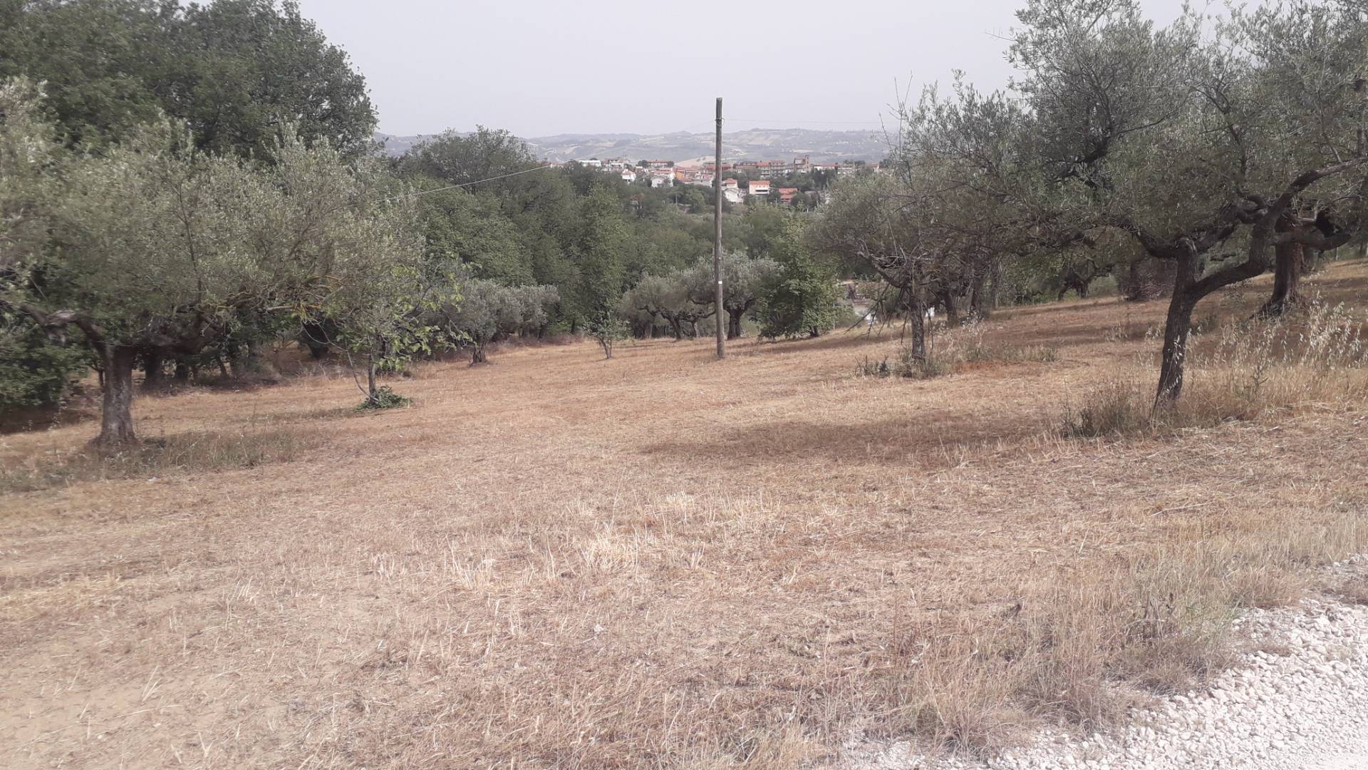Terreno edificabile in vendita a Cepagatti