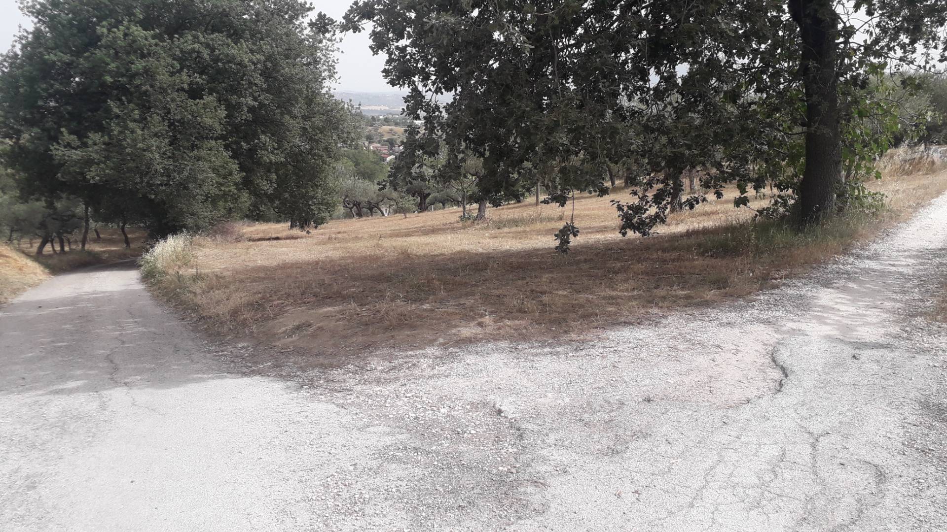 Terreno edificabile in vendita a Cepagatti