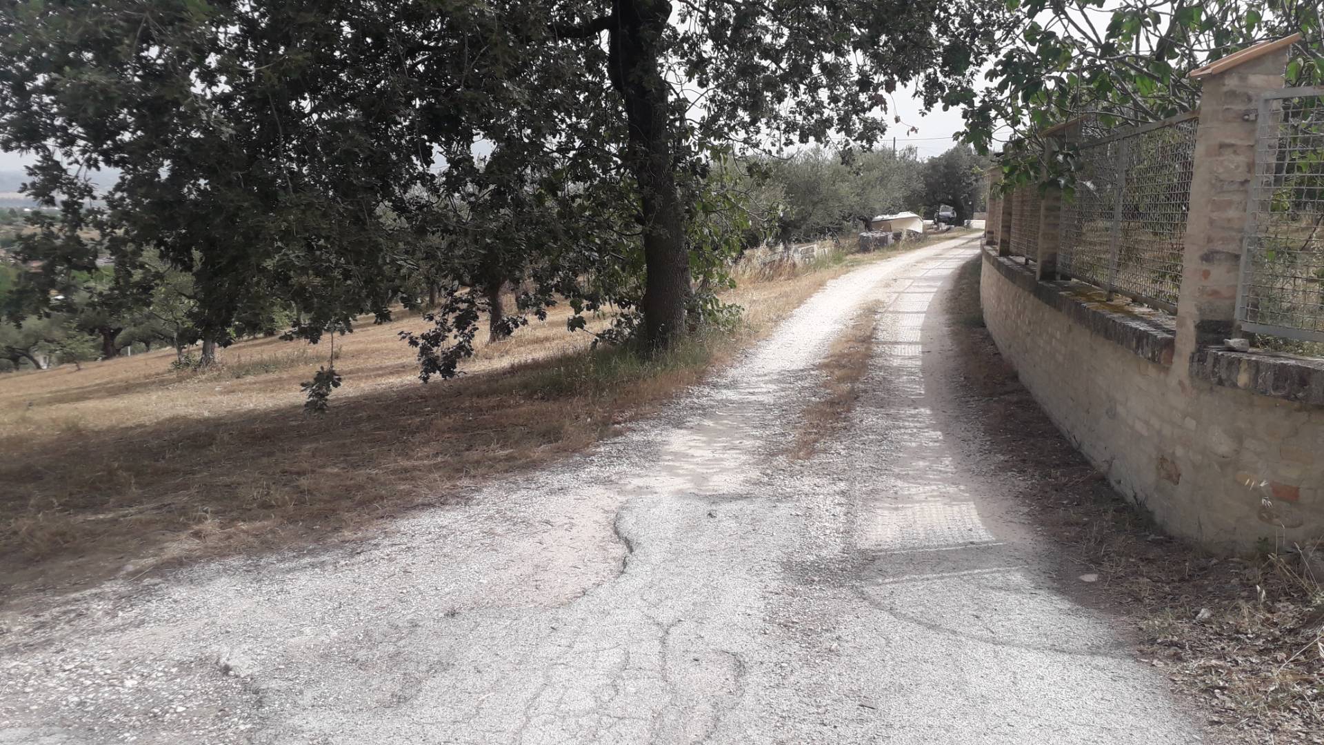 Terreno edificabile in vendita a Cepagatti