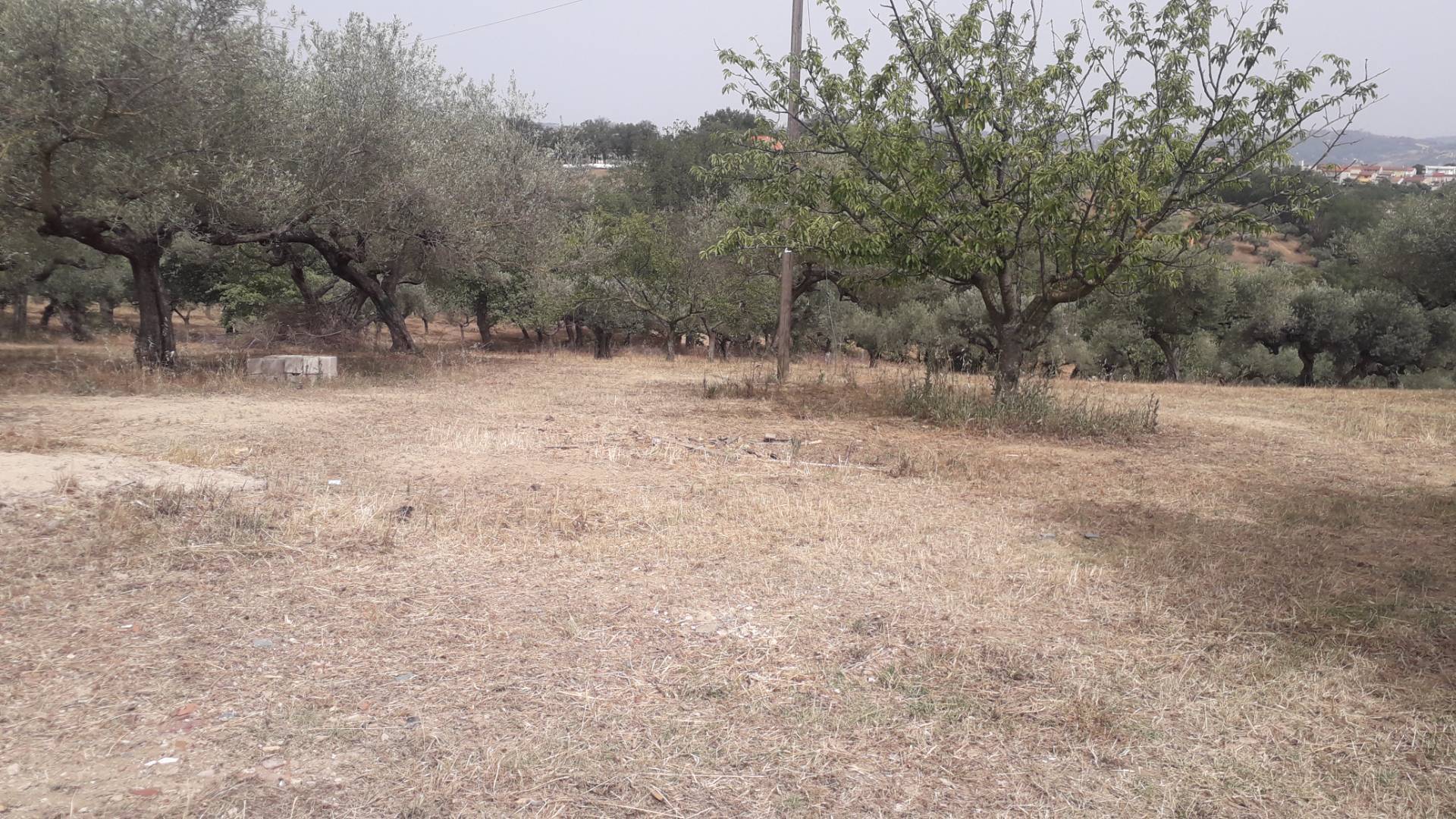 Terreno edificabile in vendita a Cepagatti