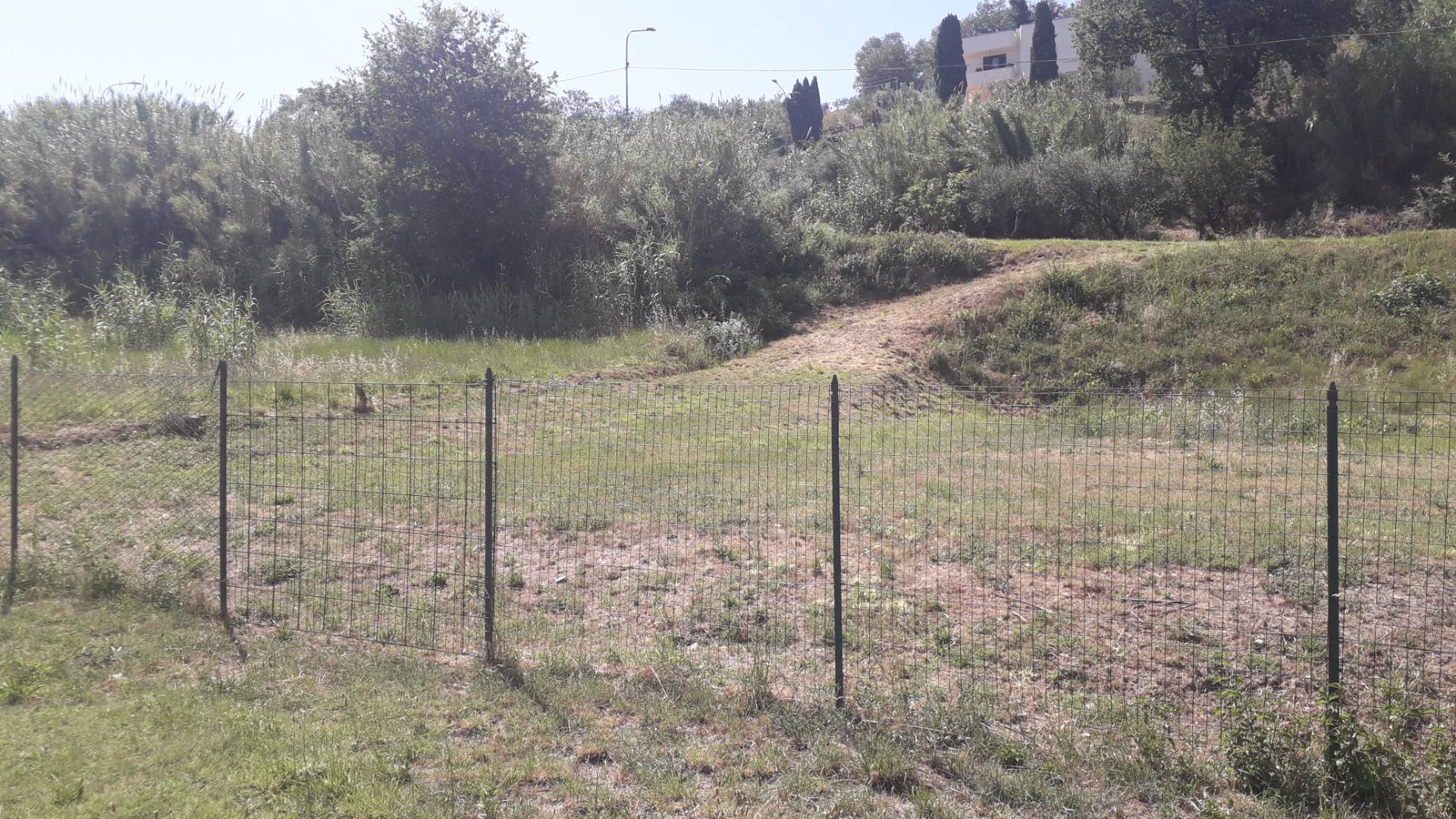 Terreno edificabile in vendita a Vacri