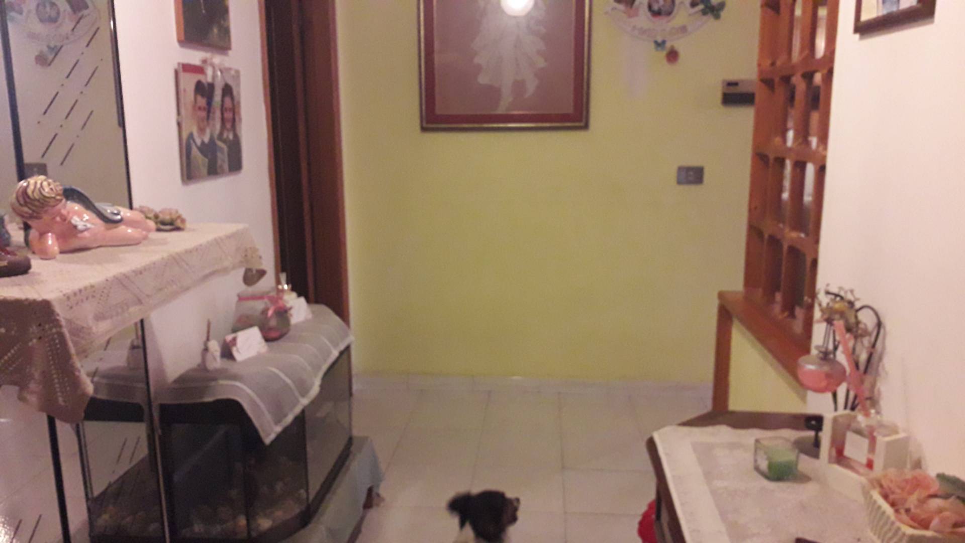 Appartamento in vendita a Roccamontepiano