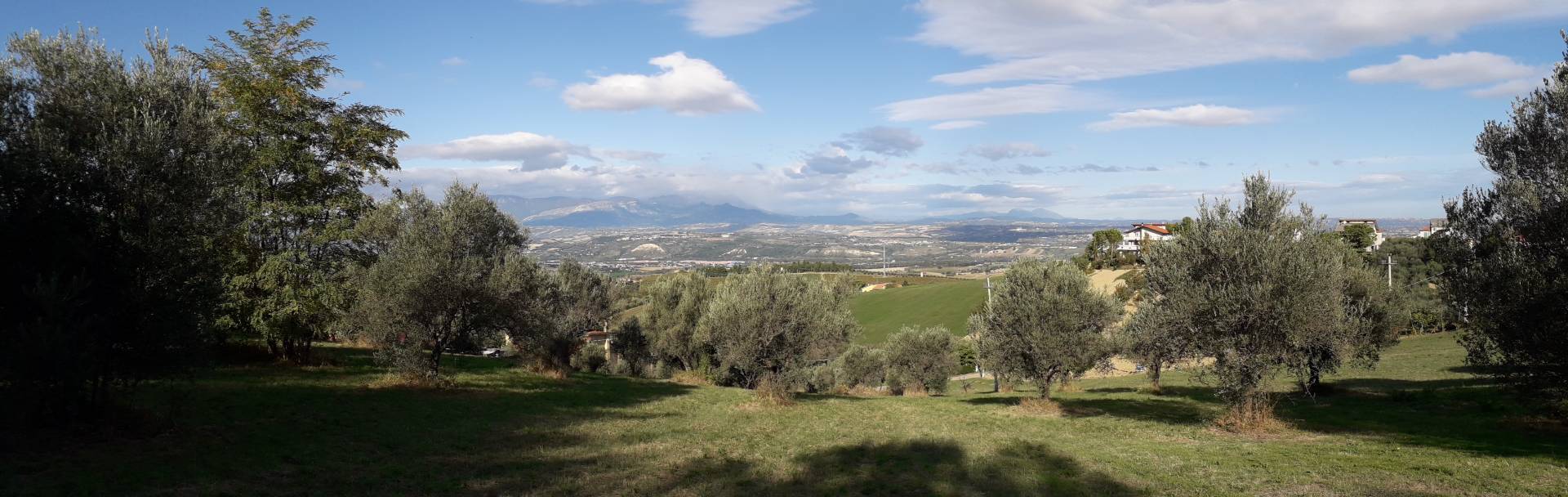 immagine annuncio 1 di 8