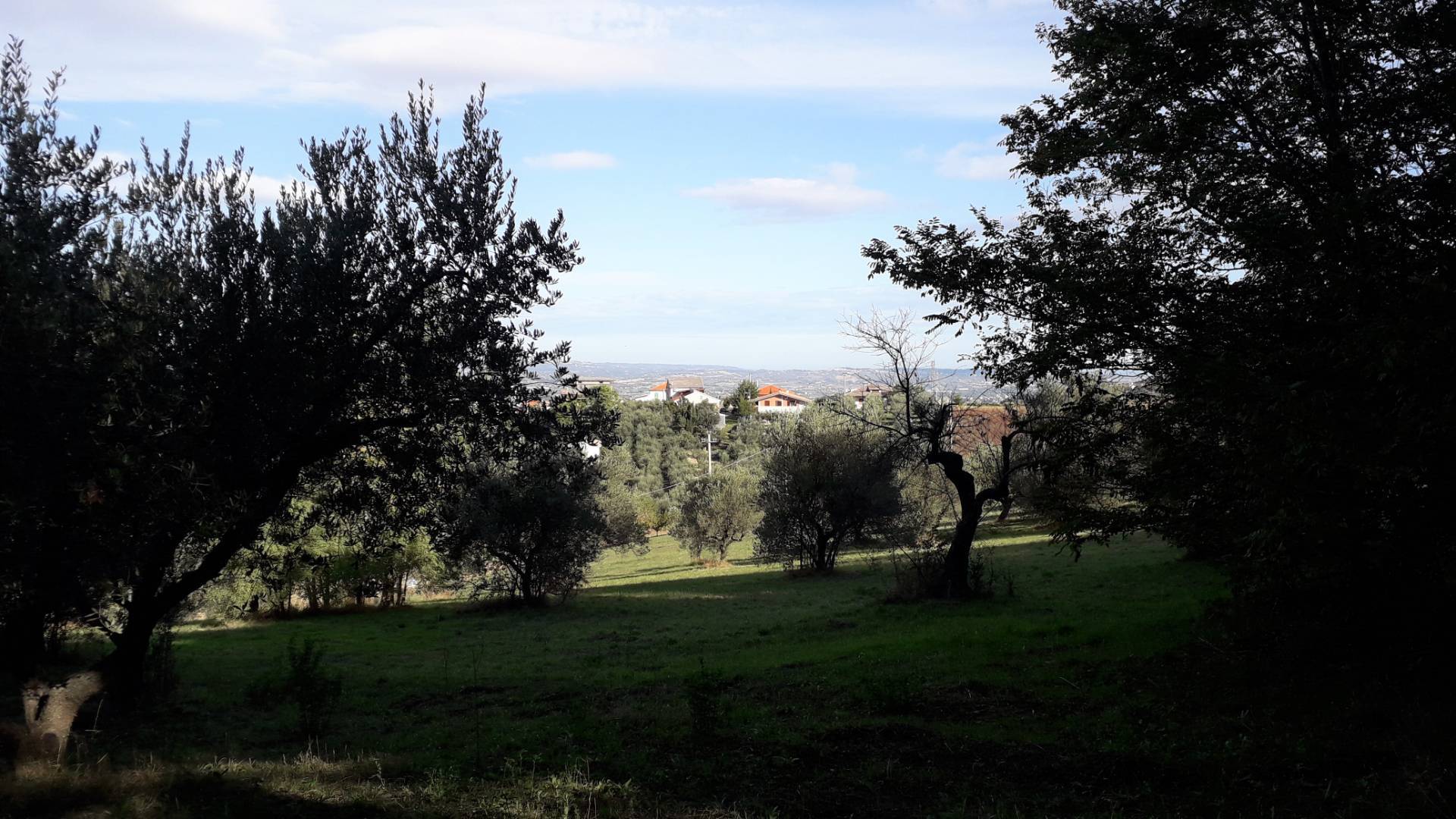 immagine annuncio 3 di 8