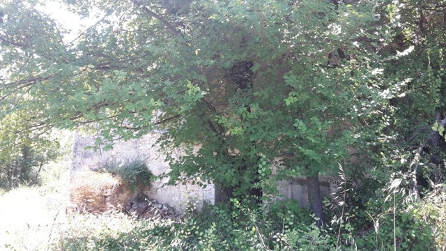 Terreno con rudere in vendita a Serramonacesca