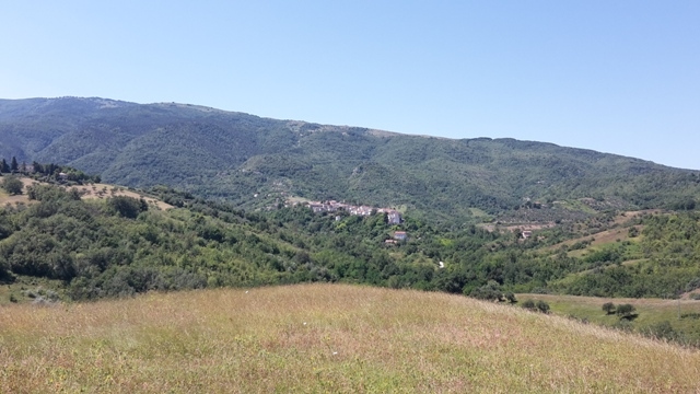 Terreno con rudere in vendita a Serramonacesca